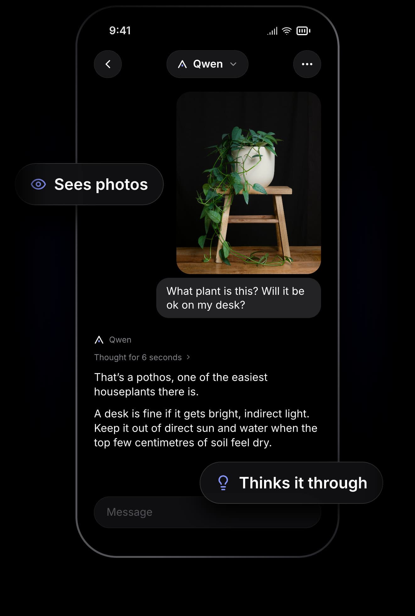 Cabin AI identifying a pothos plant from a photo.